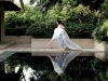 Wedding Photographer