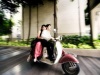 Wedding Photographer