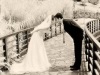 Wedding Photographer