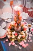 Wedding Venue