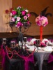 Wedding Venue