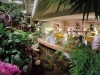 Wedding Venue