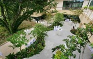 Wedding Venue | Singapore Botanic Gardens